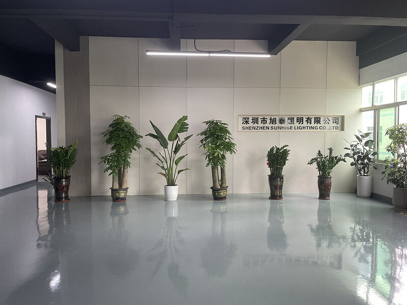 Shenzhen Sunrise Lighting Co.,Ltd.